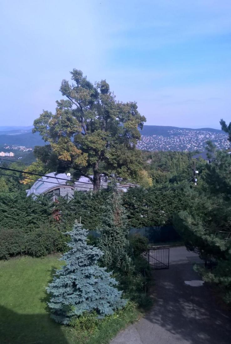 Romantic Two Bedroom Apartments In The Hills Of Budapest With Private Parking Buitenkant foto